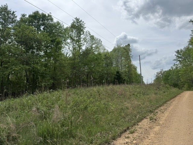637 Hargis Road Bumpus Mills, TN 37028 - Photo 2 of 17