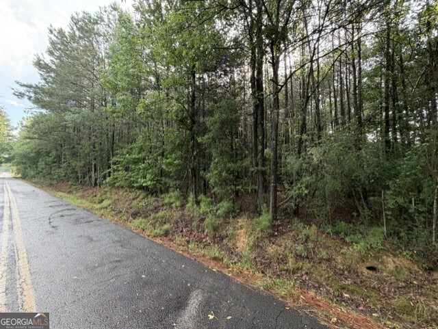 Ervin Coker Rd Ervin Coker Road Rome, GA 30161 - Photo 2 of 2