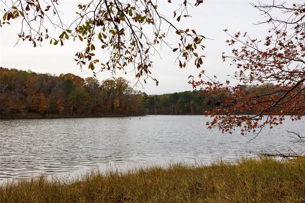 0 County Road 1211 Center, TX 75935 - Photo 12 of 38 a view of lake