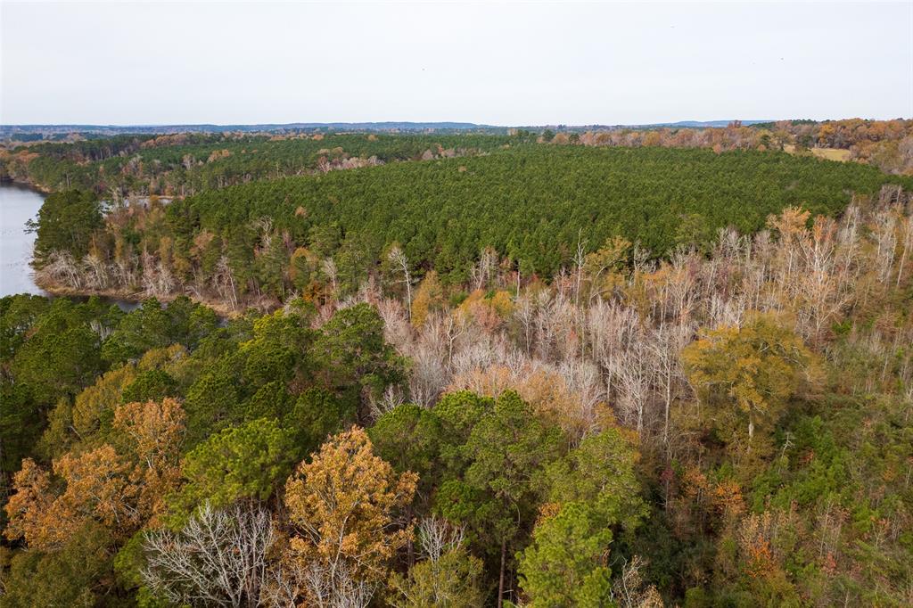 0 County Road 1211 Center, TX 75935 - Photo 14 of 38 a view of a lake with a city