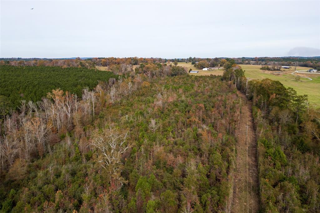 0 County Road 1211 Center, TX 75935 - Photo 15 of 38 a view of a city