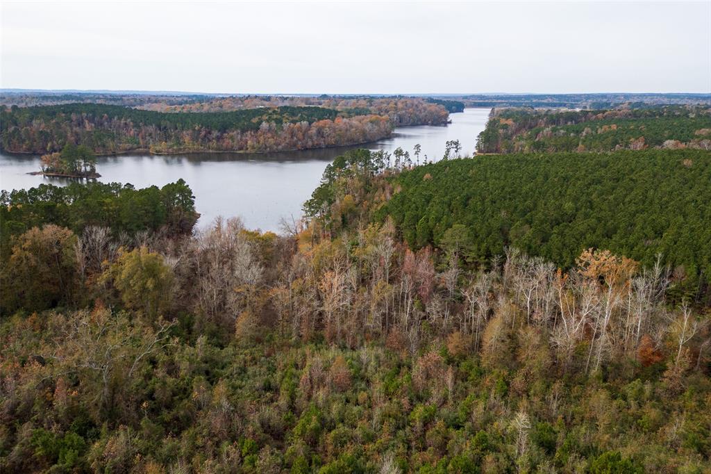 0 County Road 1211 Center, TX 75935 - Photo 16 of 38 a view of lake and mountain