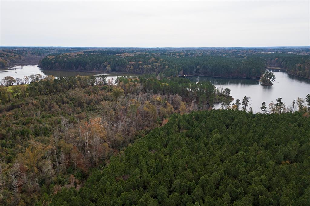 0 County Road 1211 Center, TX 75935 - Photo 18 of 38 a view of a lake and green valley