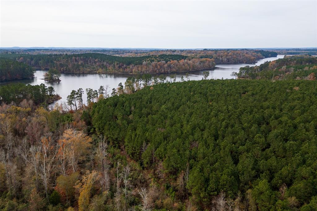 0 County Road 1211 Center, TX 75935 - Photo 2 of 38 a view of a lake in middle of a field