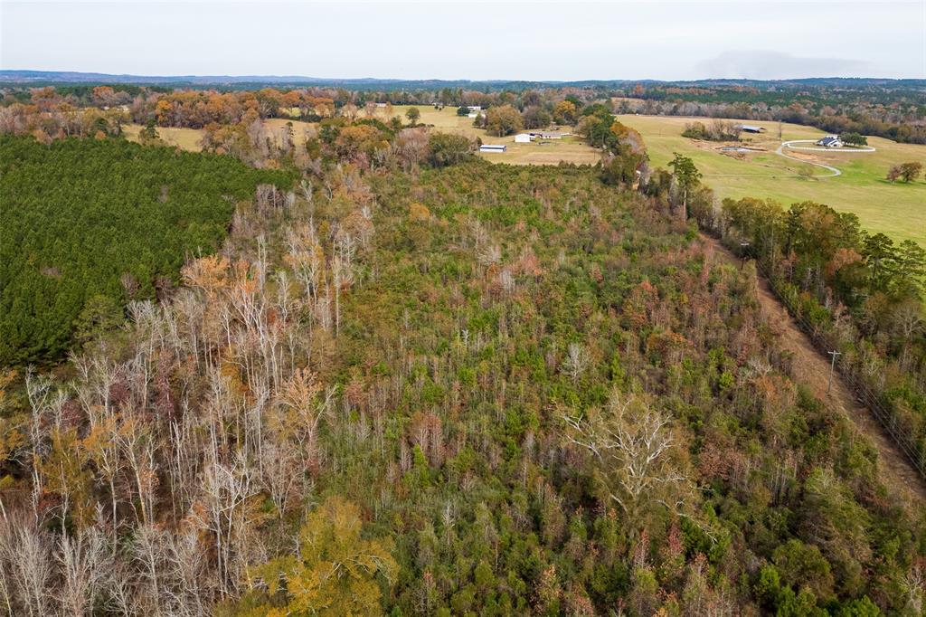 0 County Road 1211 Center, TX 75935 - Photo 22 of 38 a view of city and ocean