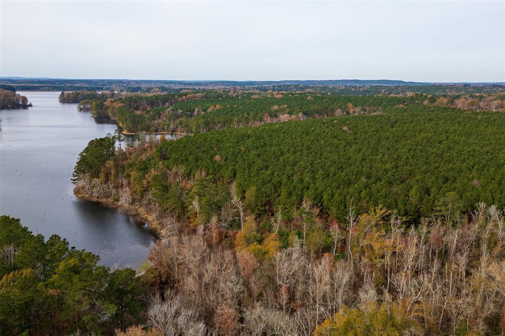 0 County Road 1211 Center, TX 75935 - Photo 23 of 38 a view of a lake with a city