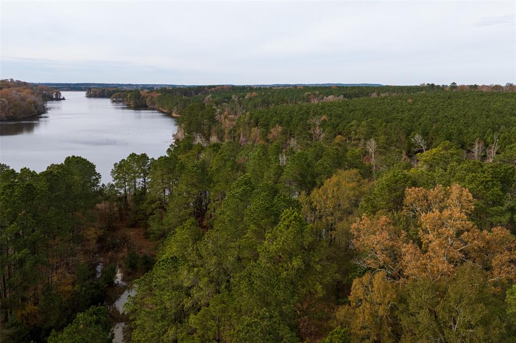 0 County Road 1211 Center, TX 75935 - Photo 24 of 38 a view of a lake in middle of forest