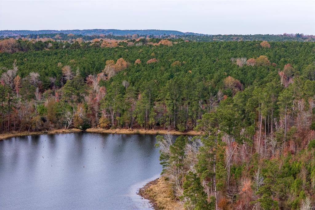 0 County Road 1211 Center, TX 75935 - Photo 25 of 38 a view of a city with lush green forest