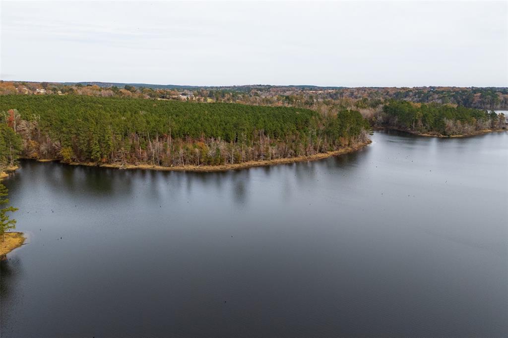 0 County Road 1211 Center, TX 75935 - Photo 27 of 38 a view of a city with lake view