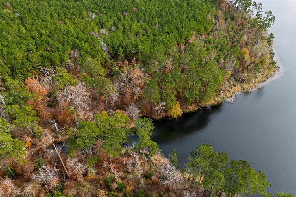 0 County Road 1211 Center, TX 75935 - Photo 29 of 38 a view of a garden