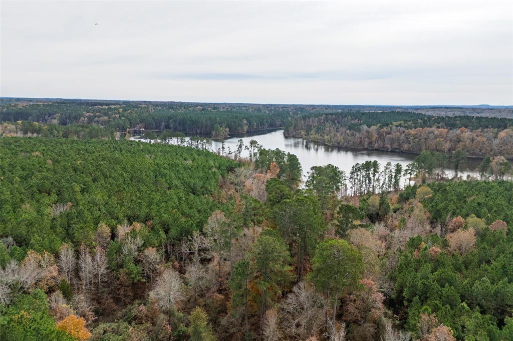 0 County Road 1211 Center, TX 75935 - Photo 30 of 38 an aerial view of a city