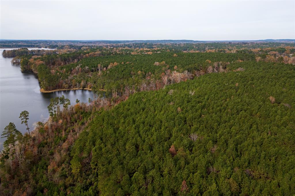 0 County Road 1211 Center, TX 75935 - Photo 3 of 38 a view of city and mountain