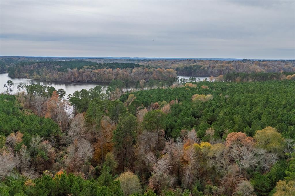 0 County Road 1211 Center, TX 75935 - Photo 31 of 38 an aerial view of a city
