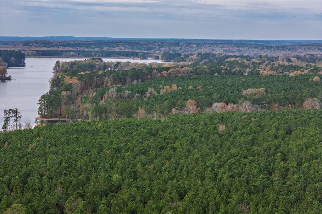 0 County Road 1211 Center, TX 75935 - Photo 33 of 38 a view of a lake with a mountain in the back