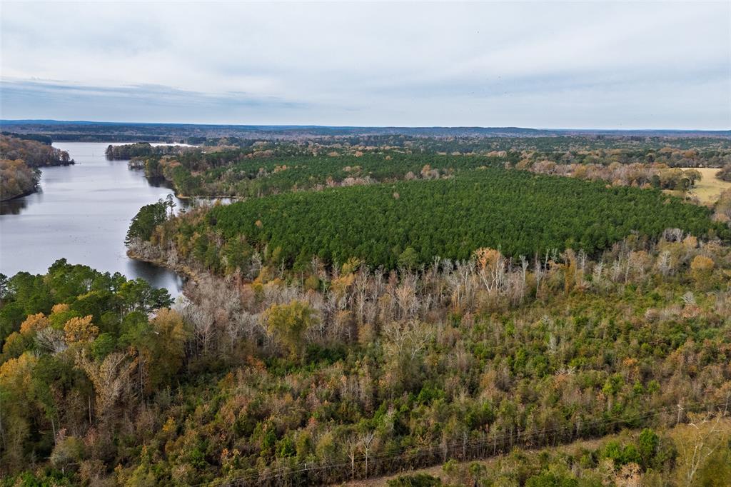 0 County Road 1211 Center, TX 75935 - Photo 34 of 38 a view of a lake with a city