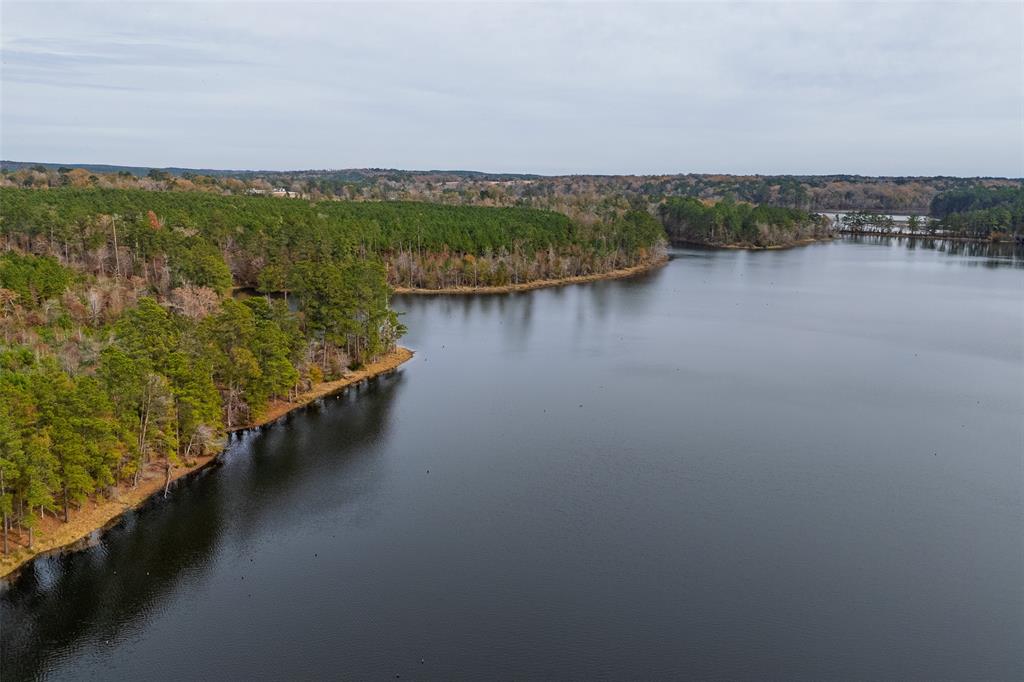 0 County Road 1211 Center, TX 75935 - Photo 4 of 38 a view of a lake with a city