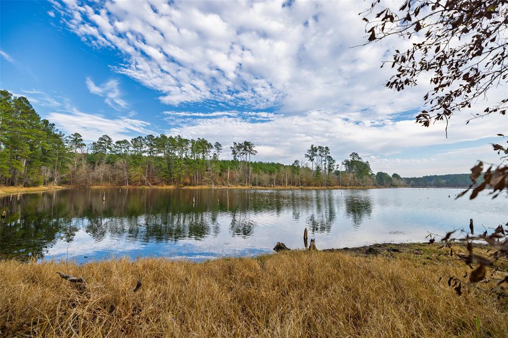 0 County Road 1211 Center, TX 75935 - Photo 7 of 38 a view of a lake in between two large trees