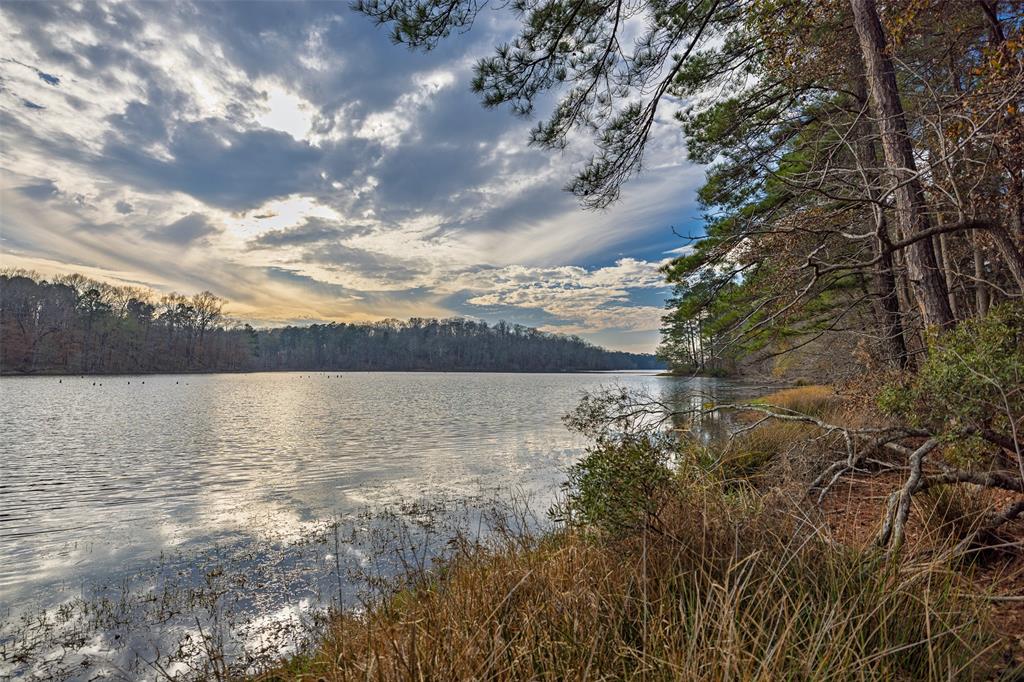 0 County Road 1211 Center, TX 75935 - Photo 8 of 38