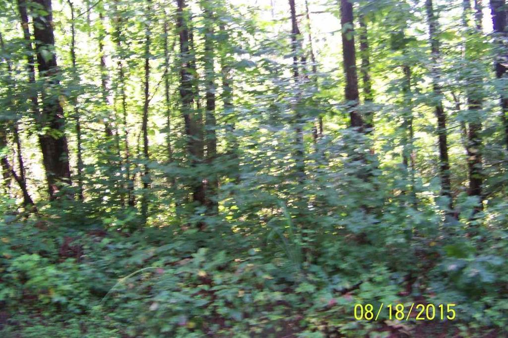 Lot #19 Doc Miller Road Madisonville, TN 37354 - Photo 1 of 1 Lot 19. Doc Miller Rd.
