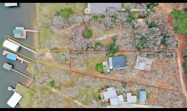 a view of yard with trees