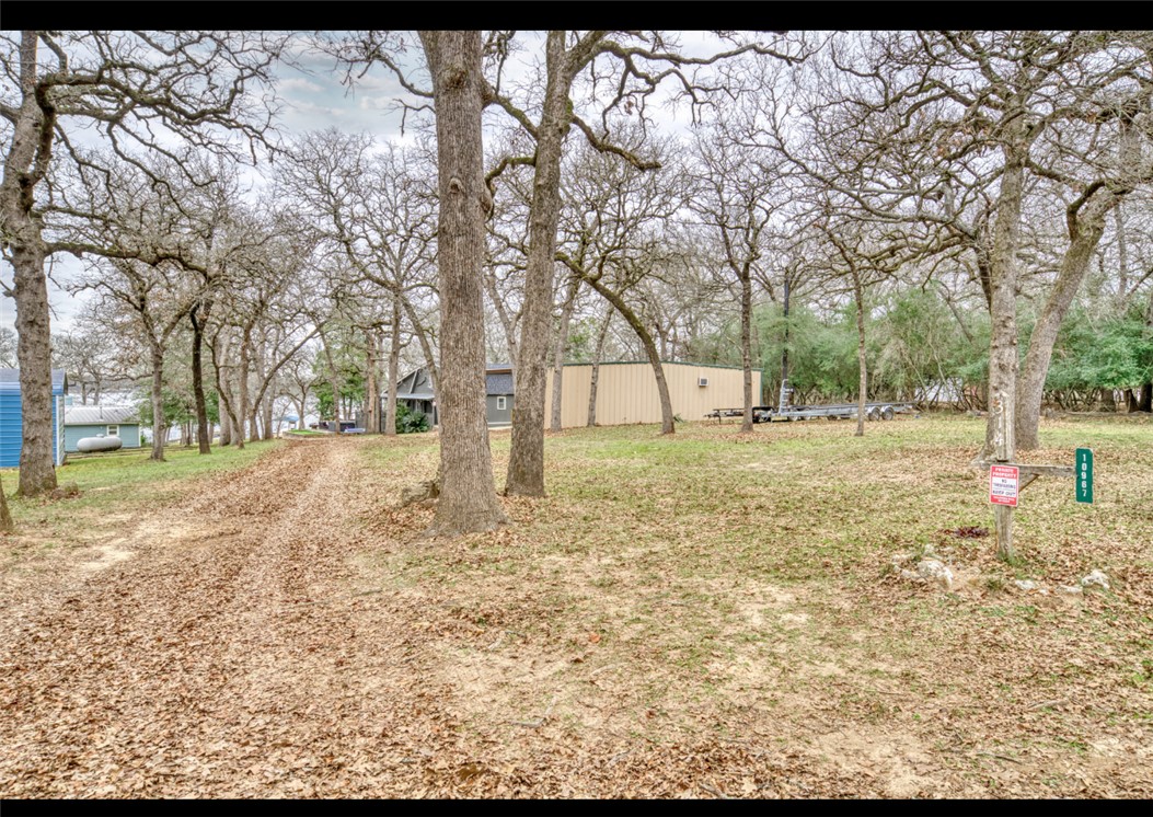 10967 Clyde Acord Road Franklin, TX 77856 - Photo 2 of 50 View of yard