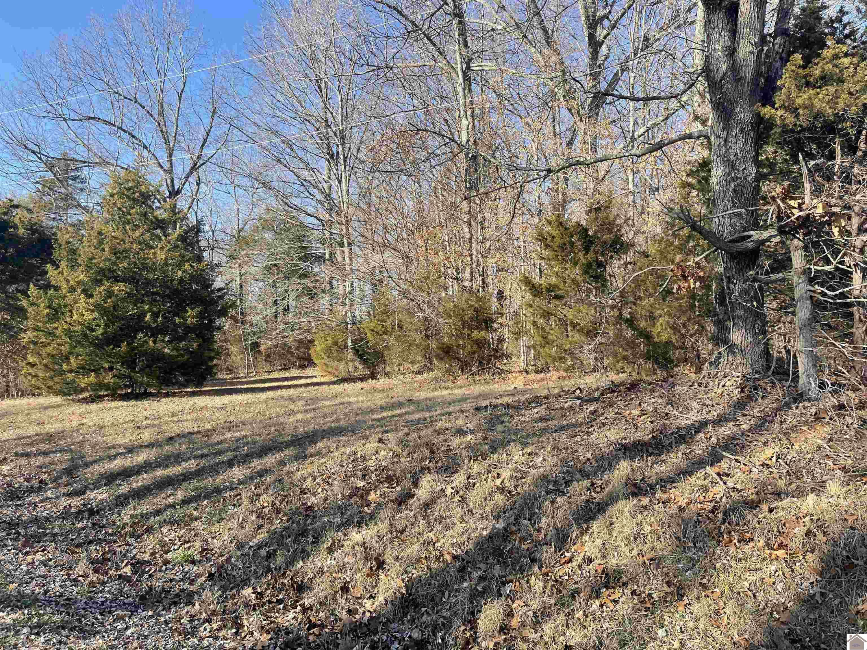 0 Liberty Church Road Princeton, KY 42445 - Photo 1 of 1 Photo 1