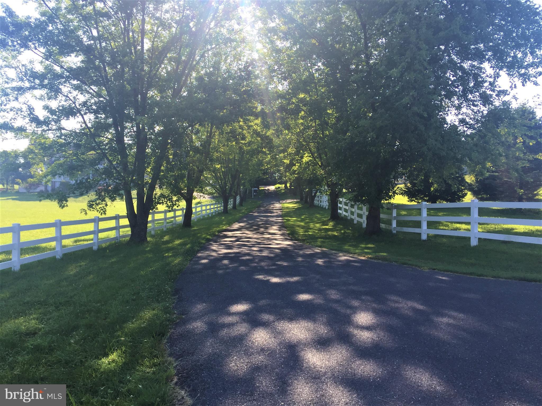 15431 Barnesville Road Boyds, MD 20841 - Photo 66 of 68 Tree lined drive way