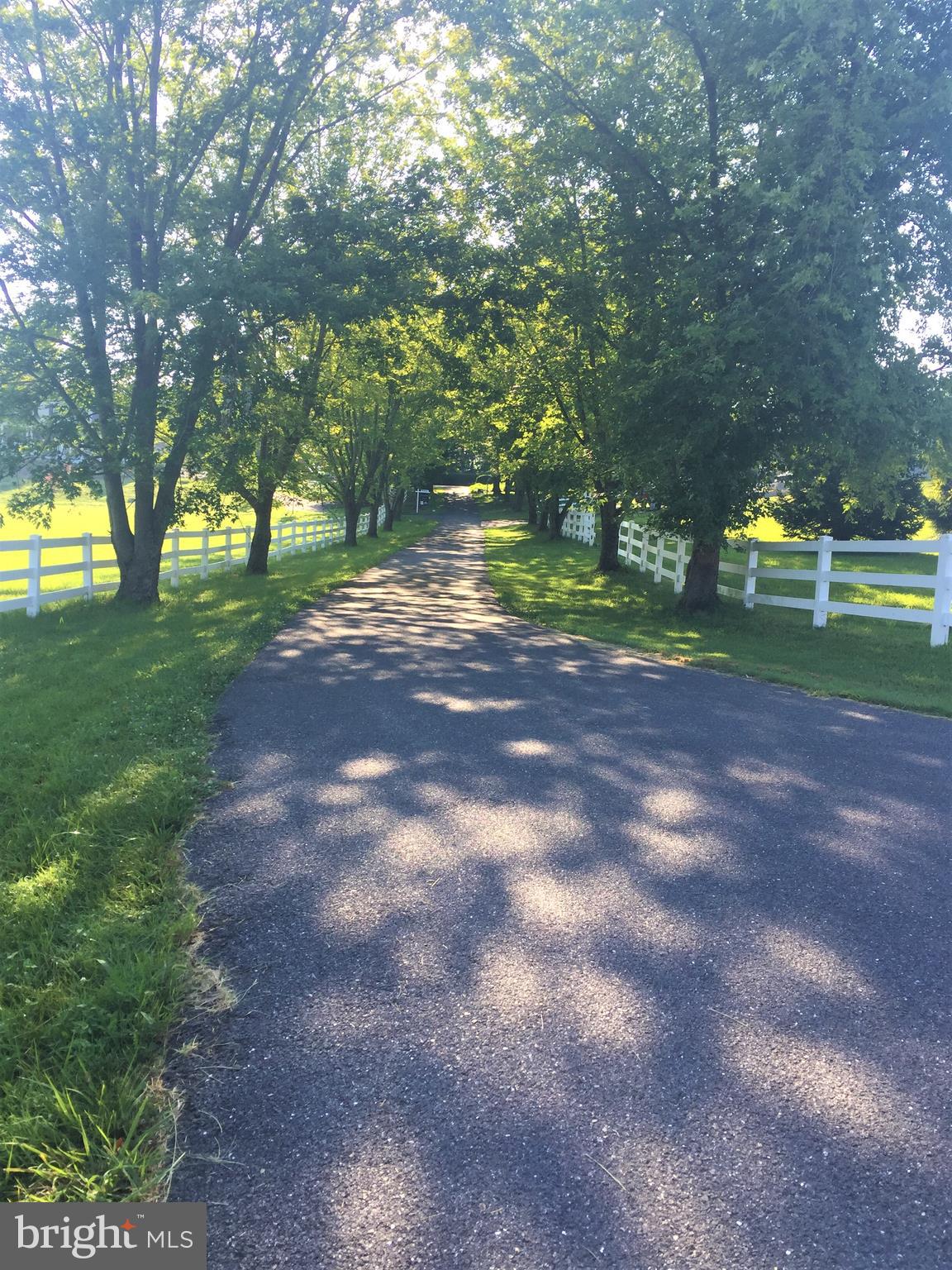 15431 Barnesville Road Boyds, MD 20841 - Photo 67 of 68 Tree lined driveway plus ample parking
