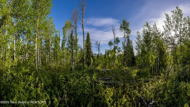 $7,500,000 | 375 South Indian Springs Ranch Drive, Jackson, WY 83001