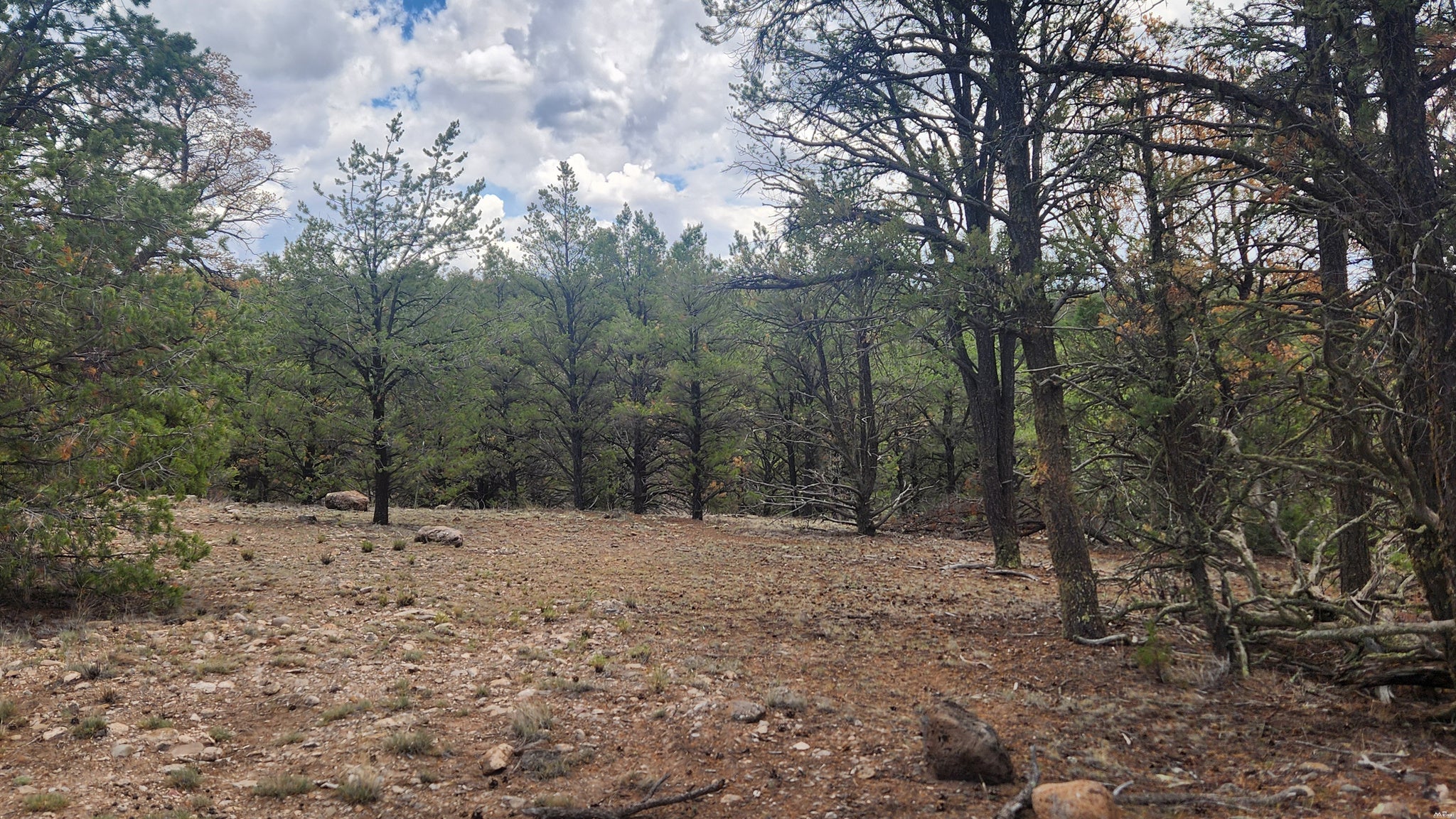 56 El Caso Road, Unit B3S Quemado, NM 87829 - Photo 7 of 26 Gallery Image 7