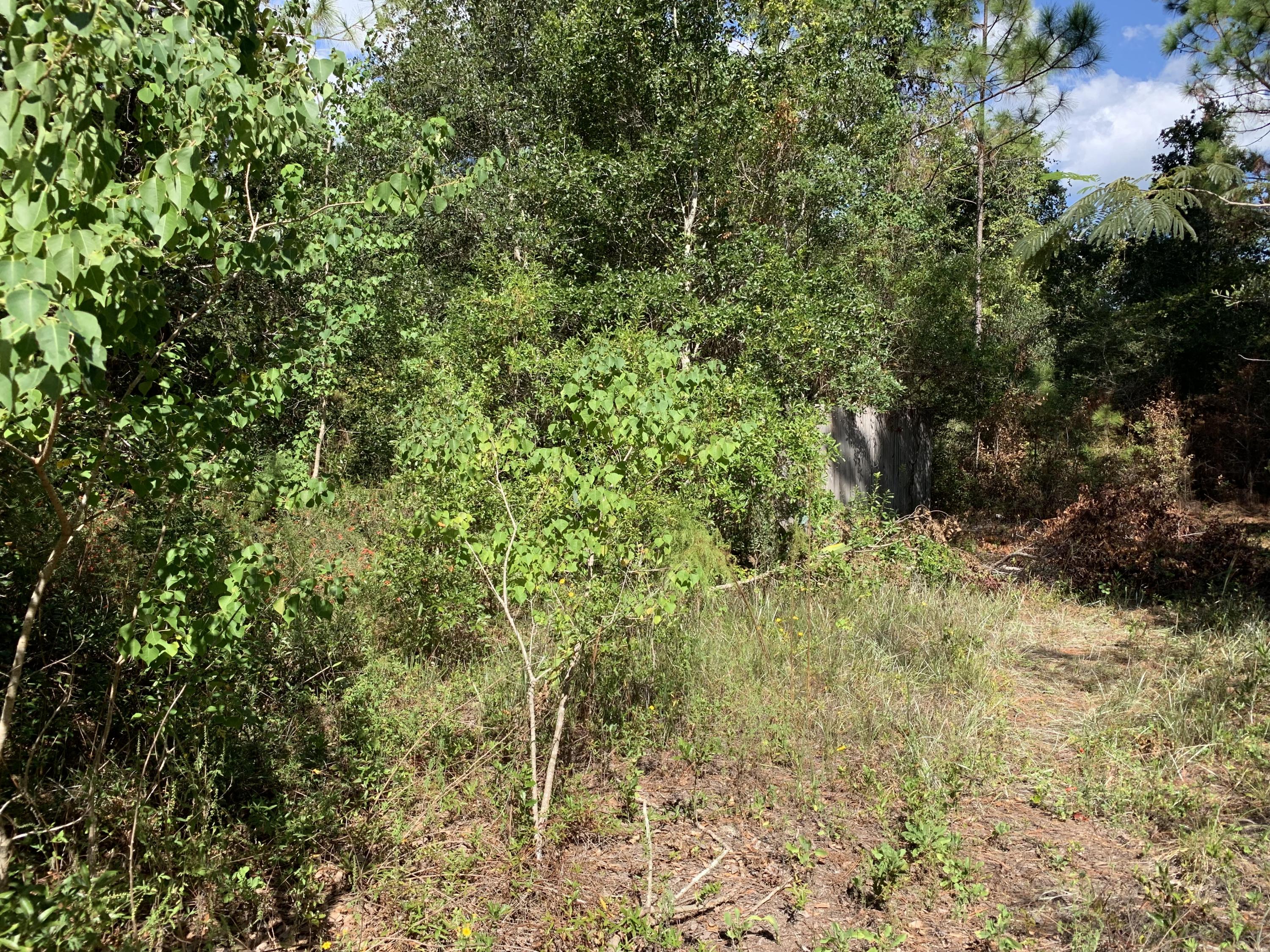 0 Teepee Road Navarre, FL 32566 - Photo 3 of 13 Gallery Image 3