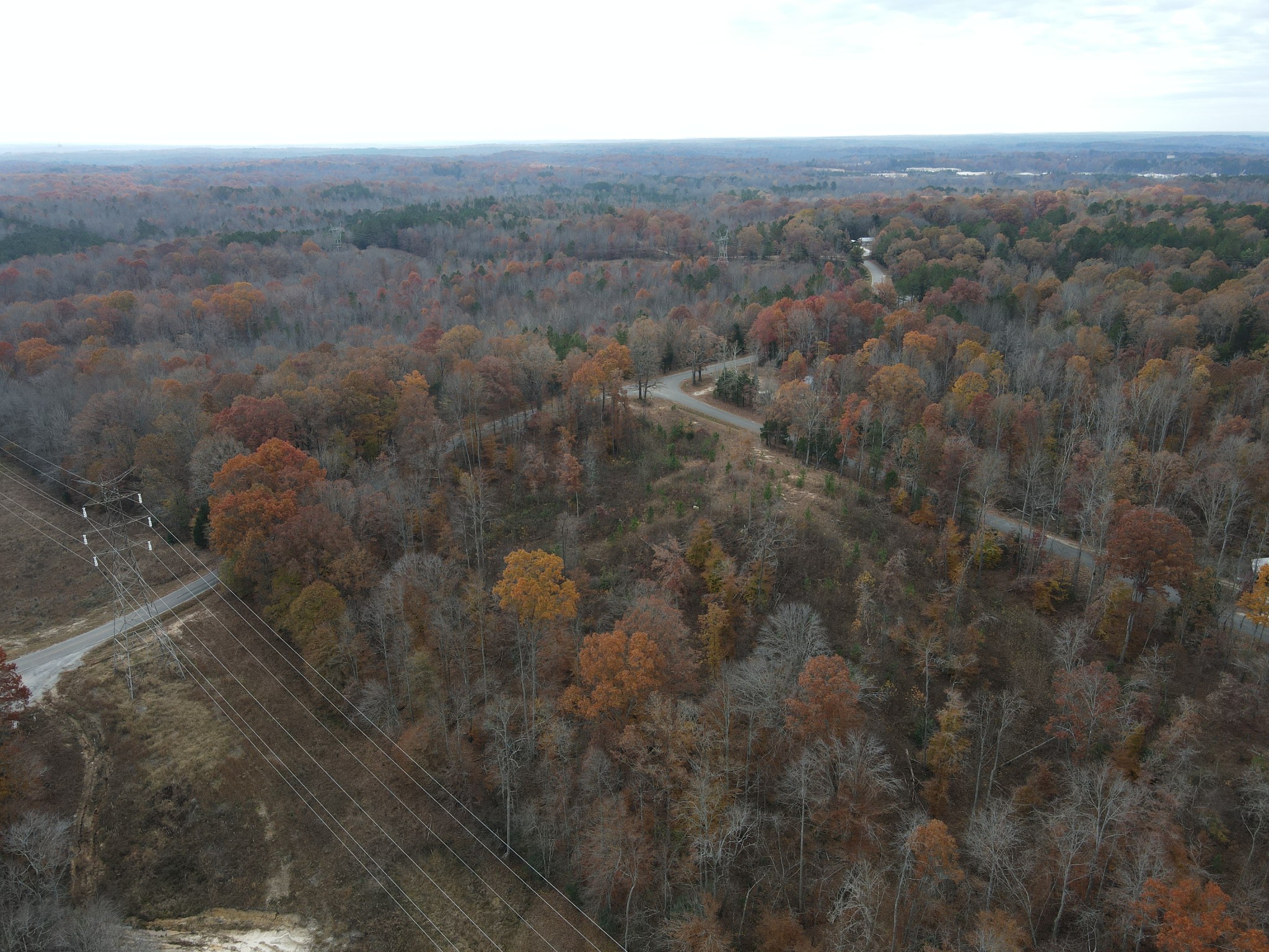 2642 Mt Carmel Road Camden, TN 38320 - Photo 4 of 5 an aerial view of residential houses with outdoor space and trees