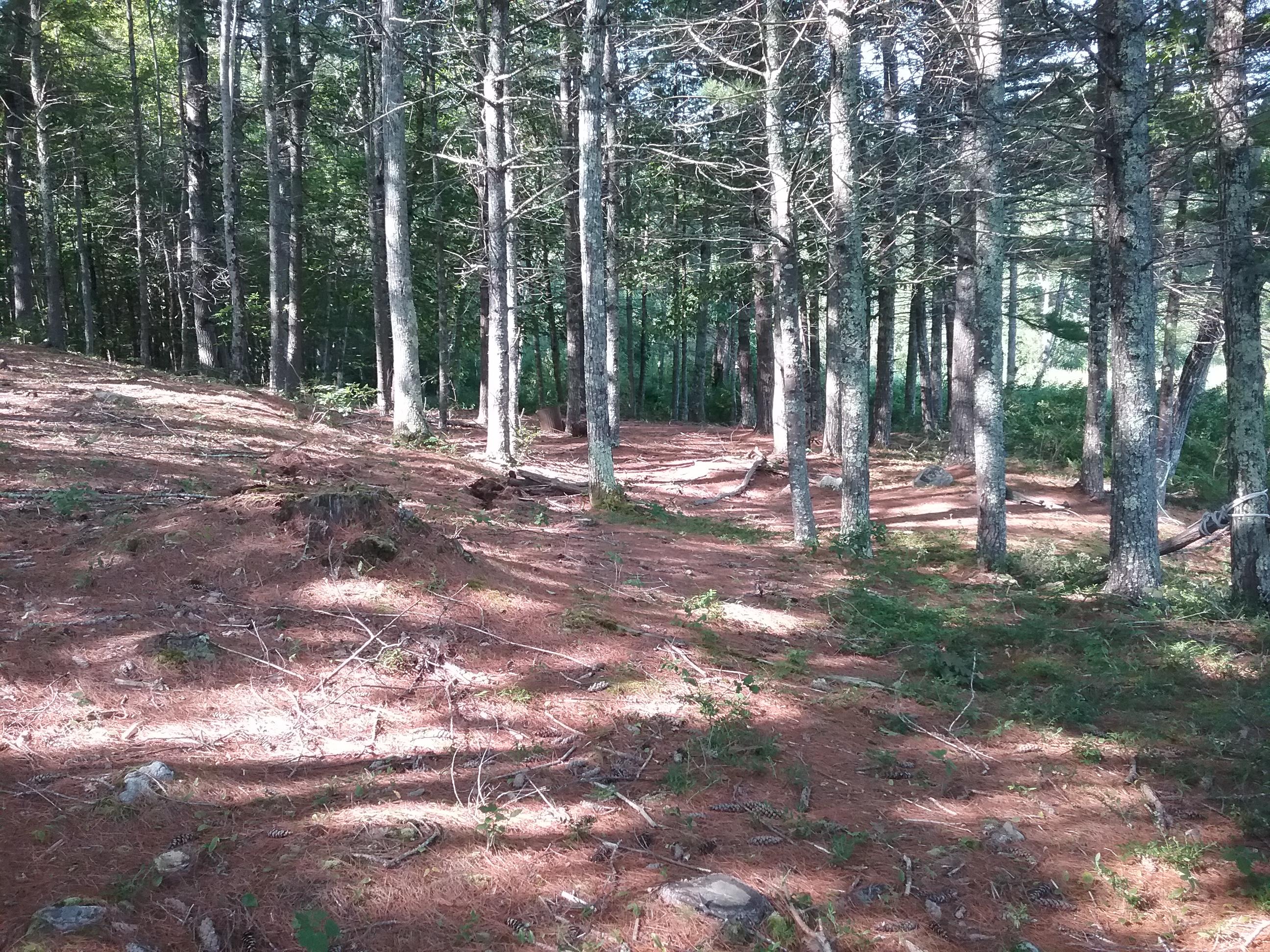 760 West Neck Road Nobleboro, ME 04555 - Photo 2 of 3 20190801_090853