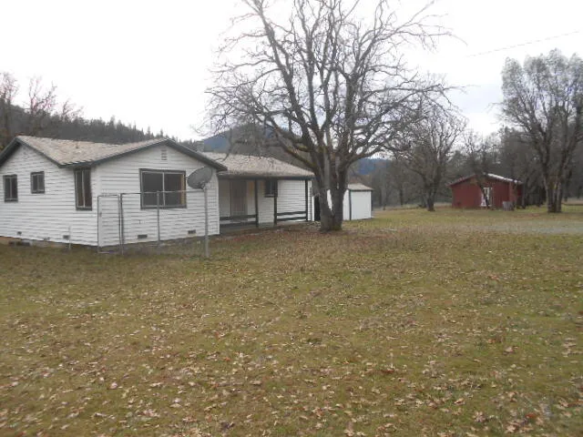 a view of a house with a large tree in front of it