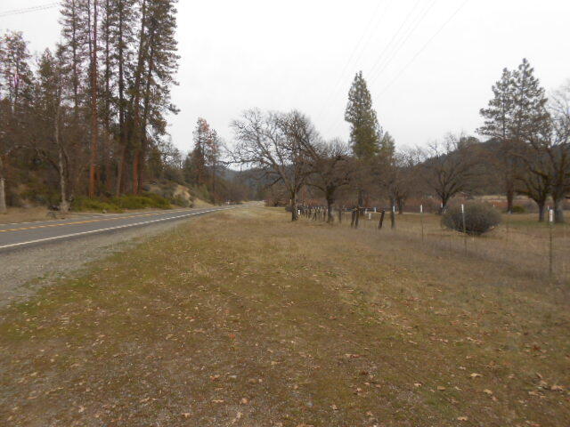12750 Highway 3 Hayfork, CA 96041 - Photo 3 of 22 a view of dirt yard with a large tree
