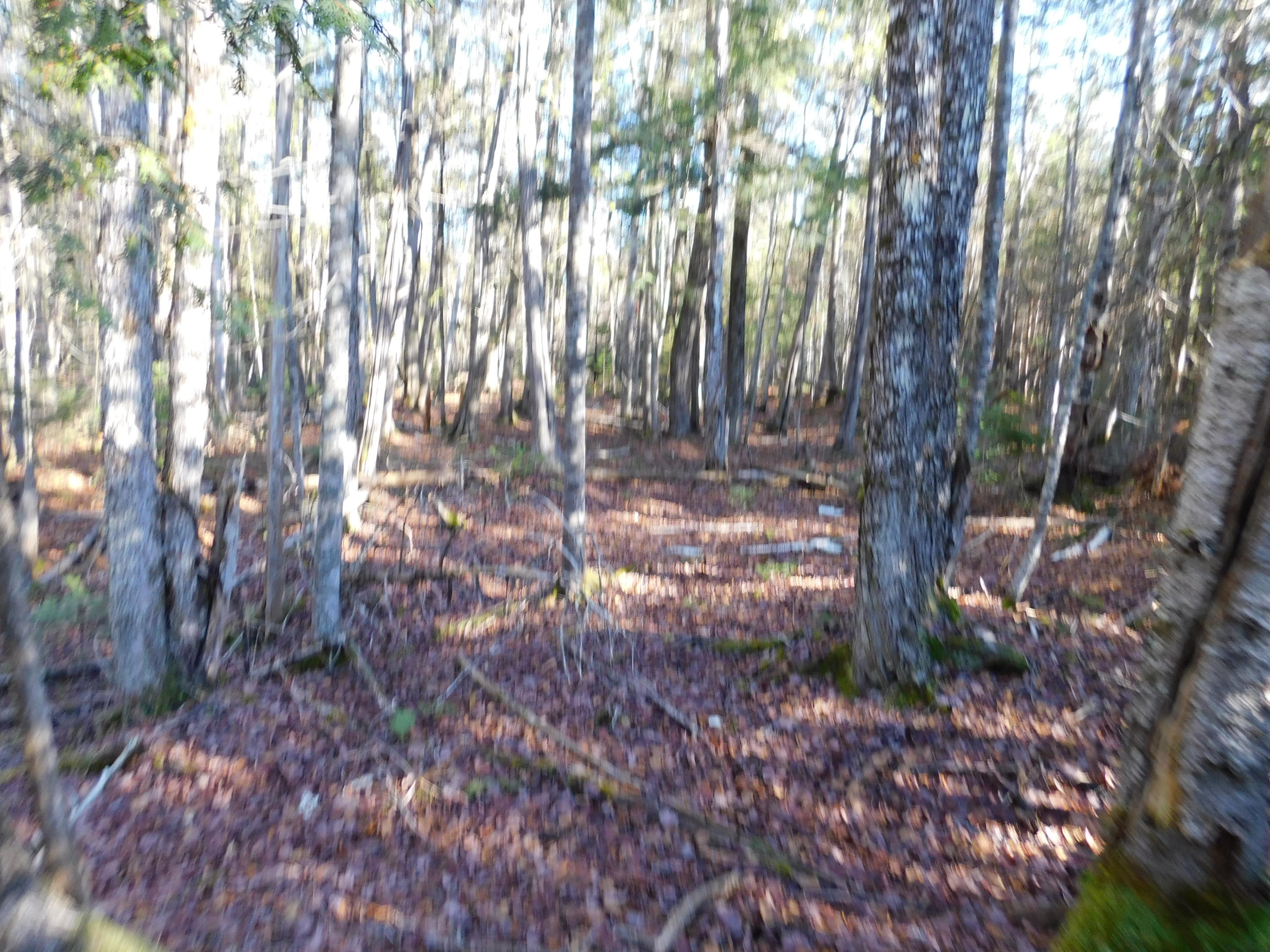 0 Klimavicz Road Dover-Foxcroft, ME 04426 - Photo 38 of 42 DSCN2899