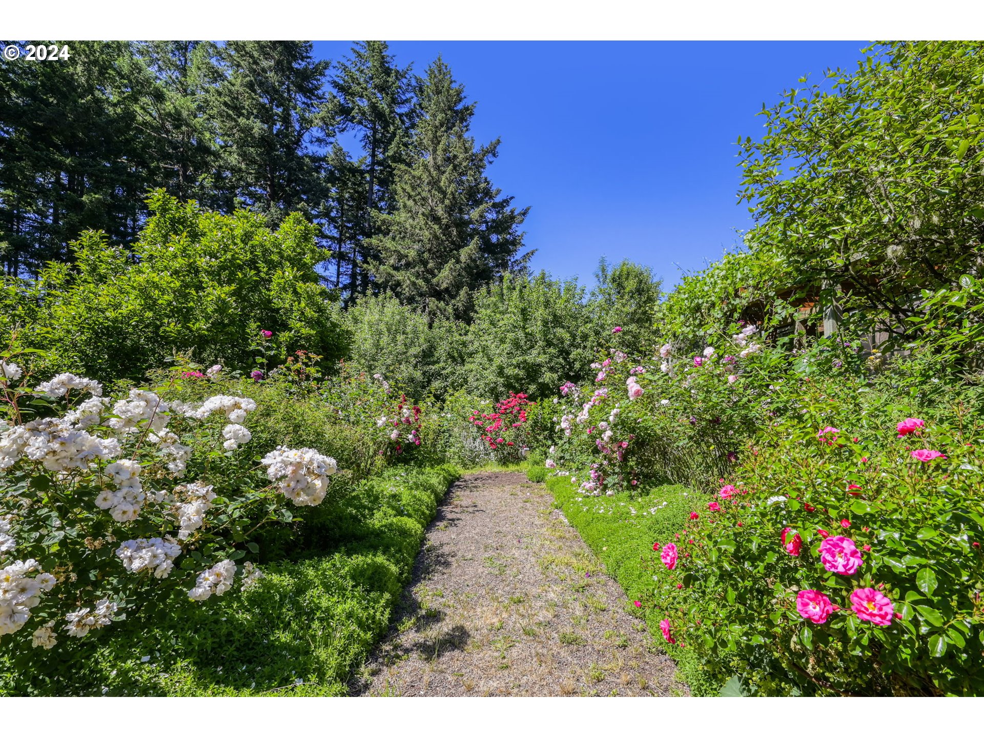 36245 Wagner Lane Cottage Grove, OR 97424 - Photo 25 of 45 a view of a garden with flowers