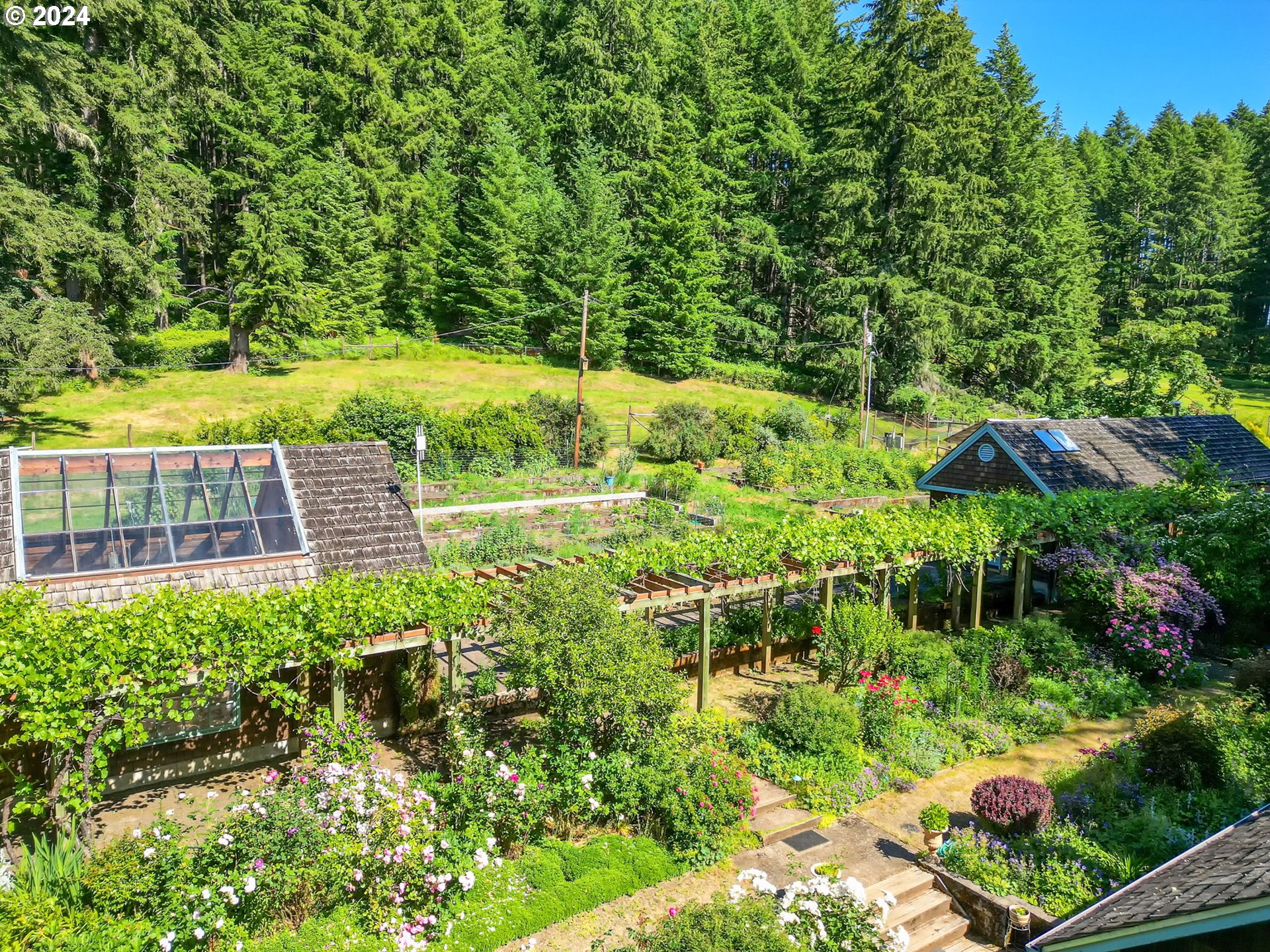 36245 Wagner Lane Cottage Grove, OR 97424 - Photo 28 of 45 a view of a garden with plants and large trees