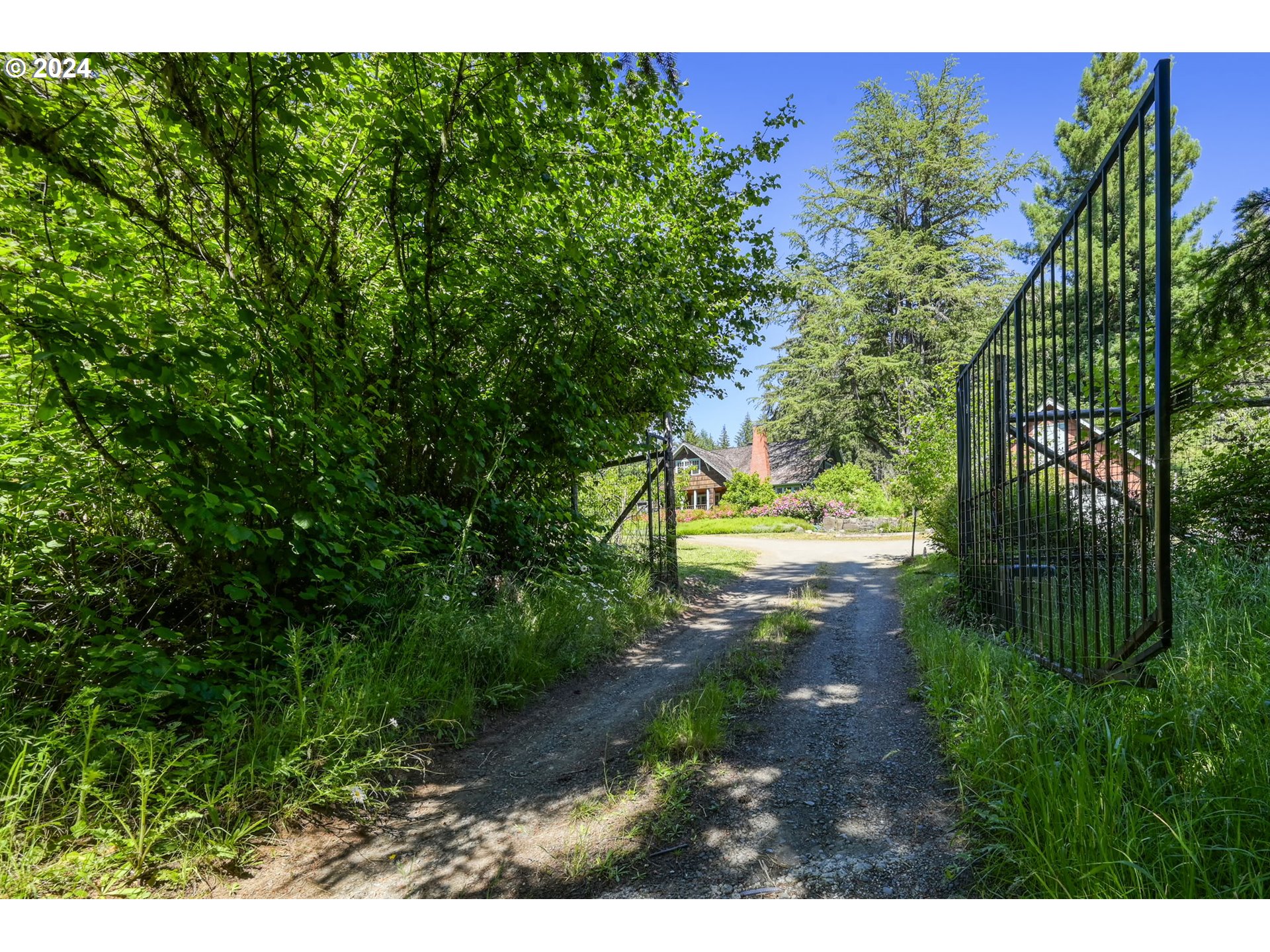 36245 Wagner Lane Cottage Grove, OR 97424 - Photo 3 of 45 a view of a yard with plants and large trees