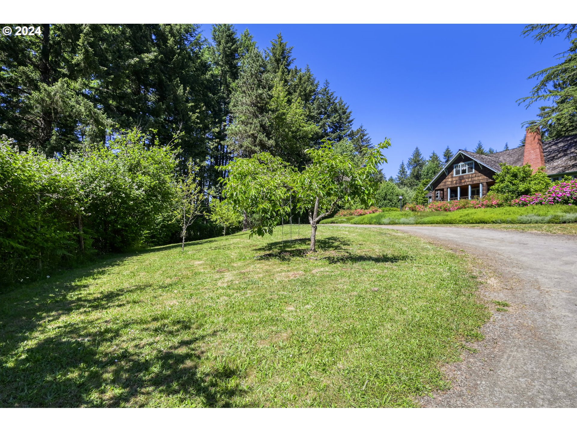 36245 Wagner Lane Cottage Grove, OR 97424 - Photo 4 of 45 a backyard of a house with lots of green space