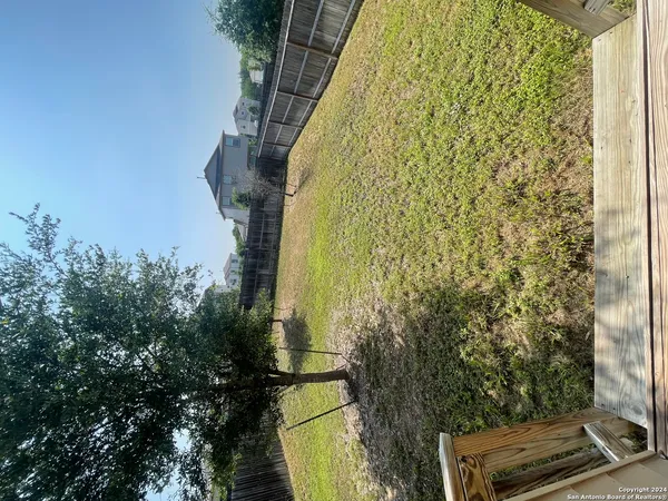 a view of a yard