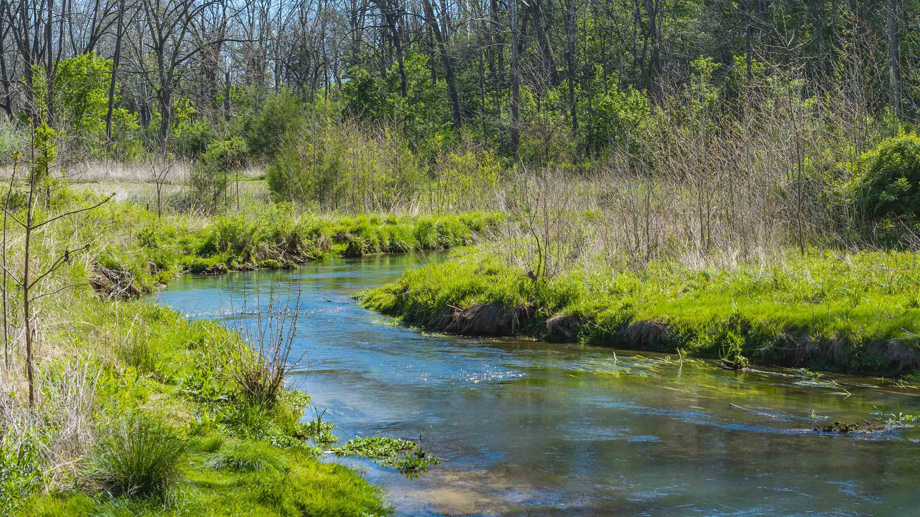Tbd Mossy Creek Road Bridgewater, VA 22812 - Photo 5 of 18