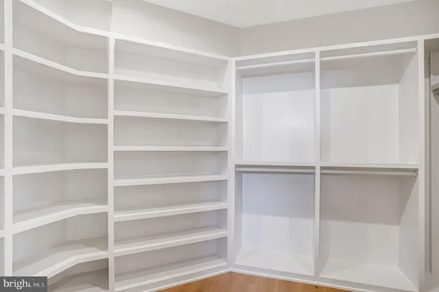 a view of an empty walk in closet