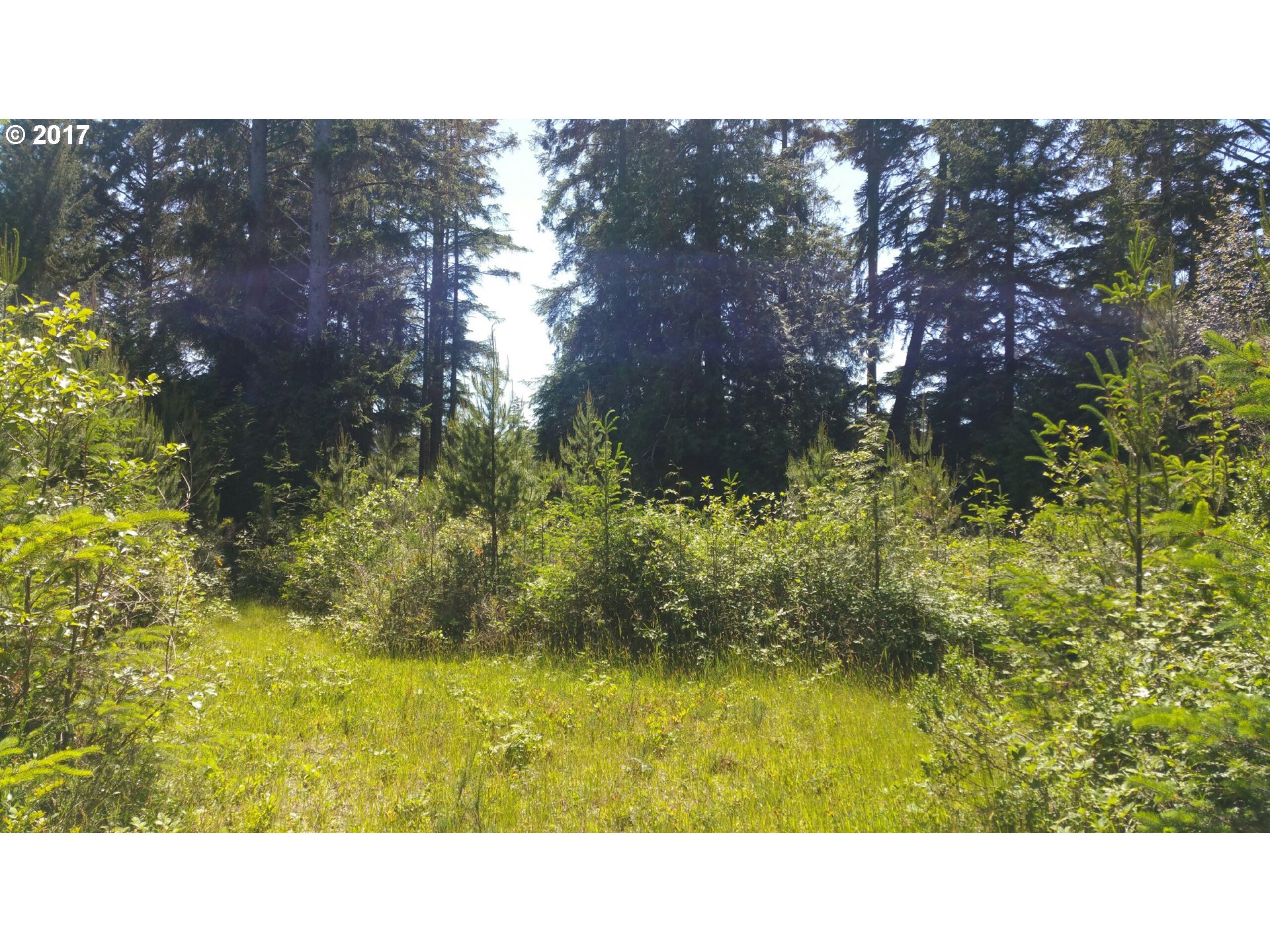 1900 Chet's Trail, Unit 1900 Florence, OR 97439 - Photo 1 of 9 Gallery Image 1