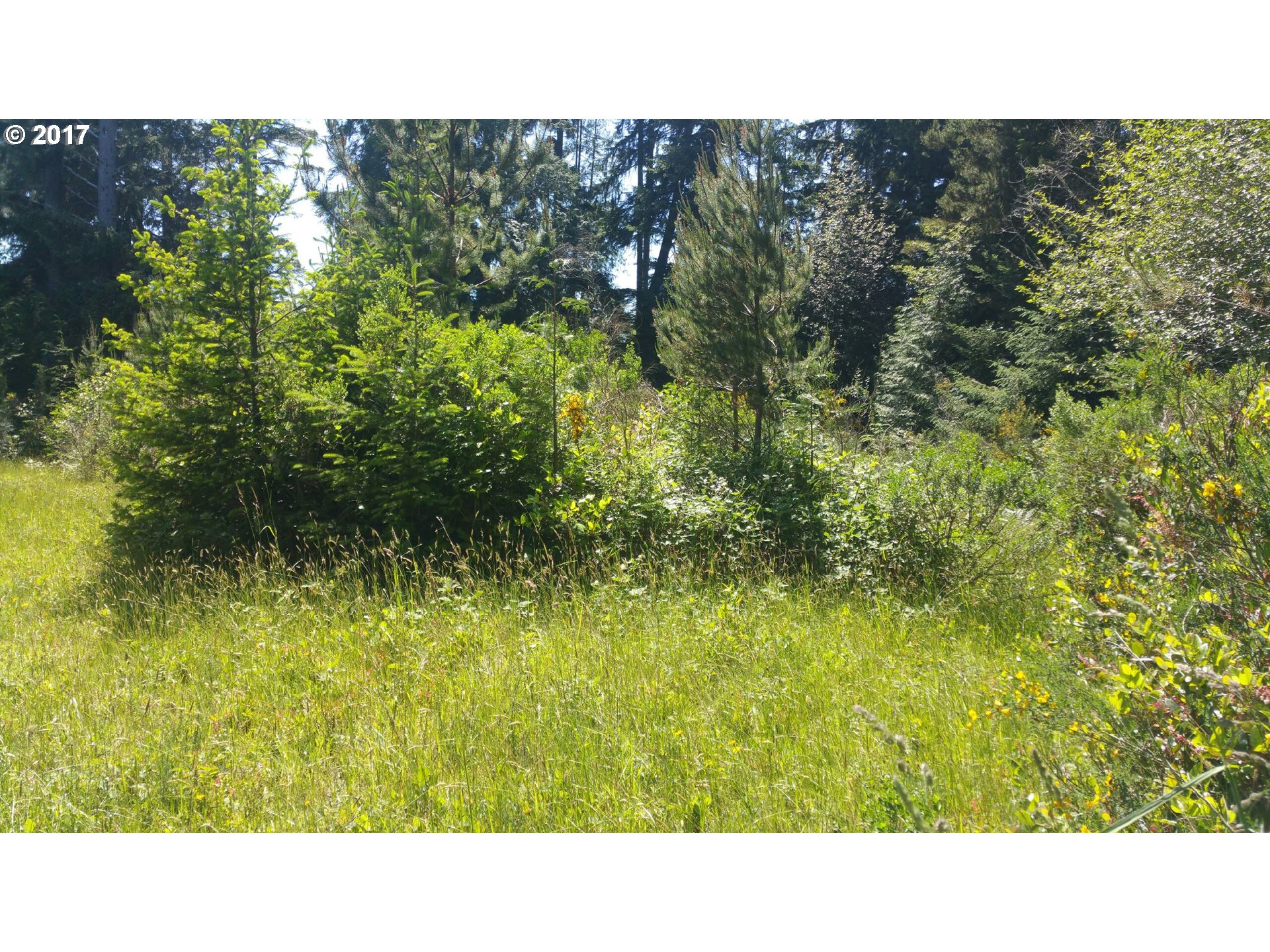 1900 Chet's Trail, Unit 1900 Florence, OR 97439 - Photo 2 of 9 Gallery Image 2