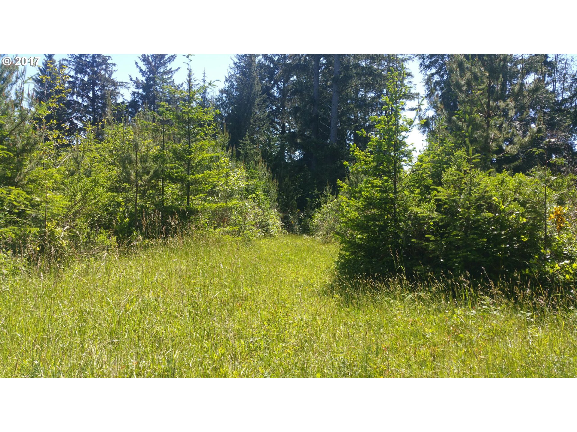 1900 Chet's Trail, Unit 1900 Florence, OR 97439 - Photo 4 of 9 Gallery Image 4