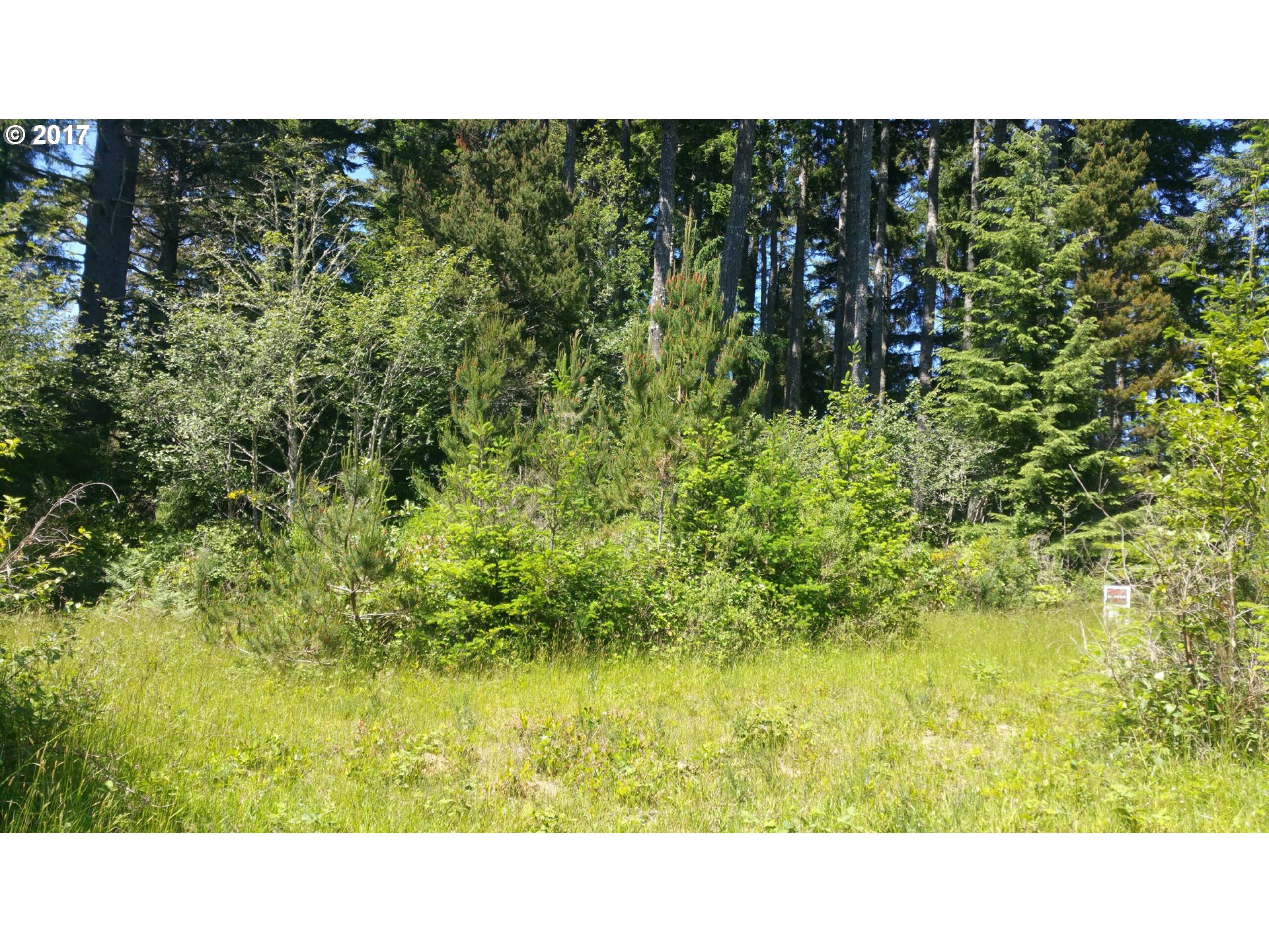 1900 Chet's Trail, Unit 1900 Florence, OR 97439 - Photo 5 of 9 Gallery Image 5