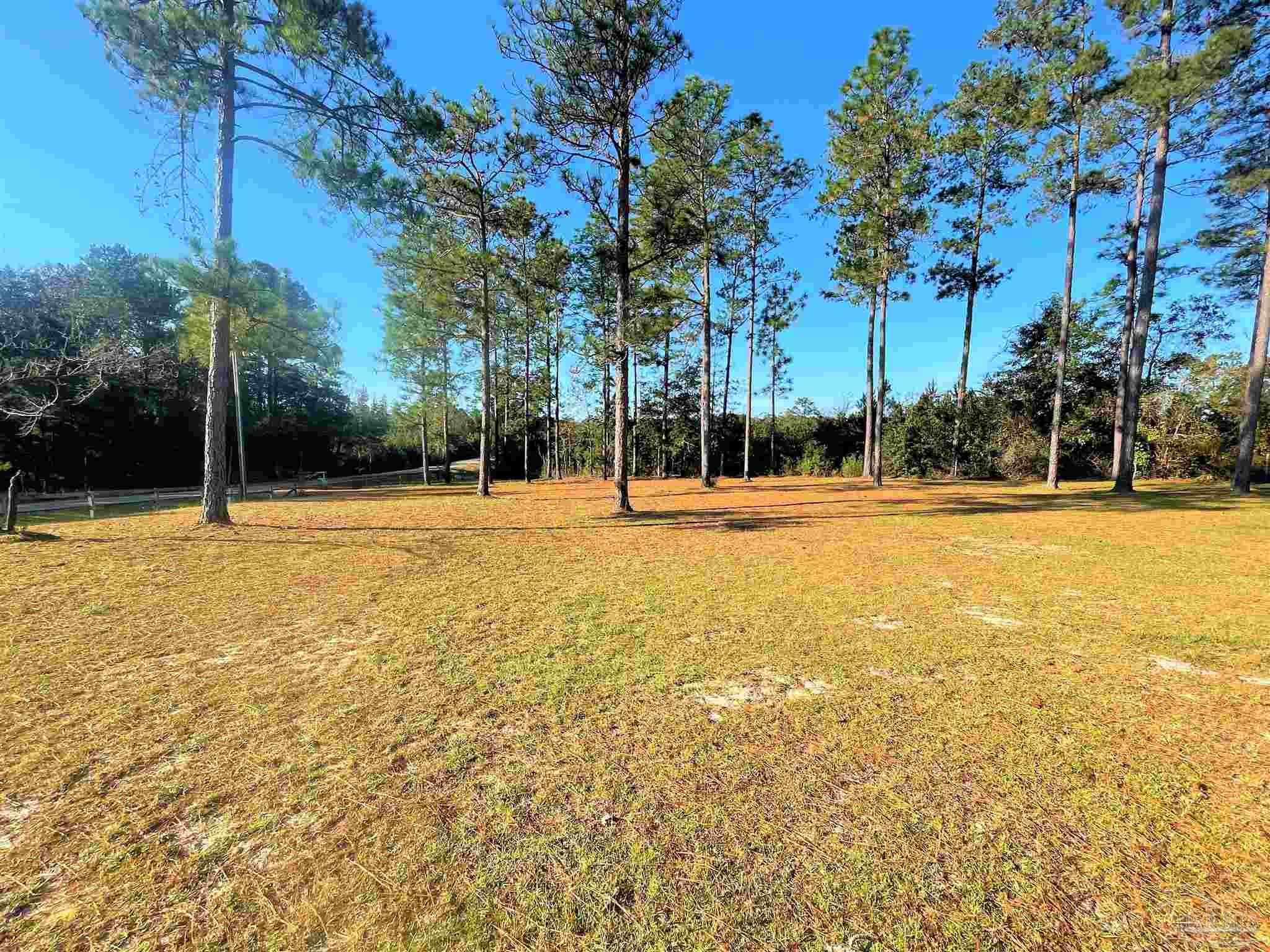8874 Travis Road Brewton, AL 36426 - Photo 24 of 25