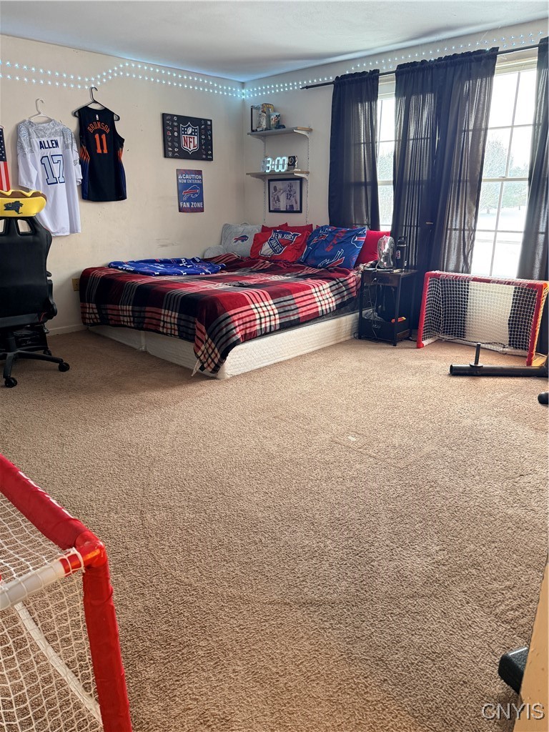 274 County Rt 33 Hastings, NY 13036 - Photo 17 of 28