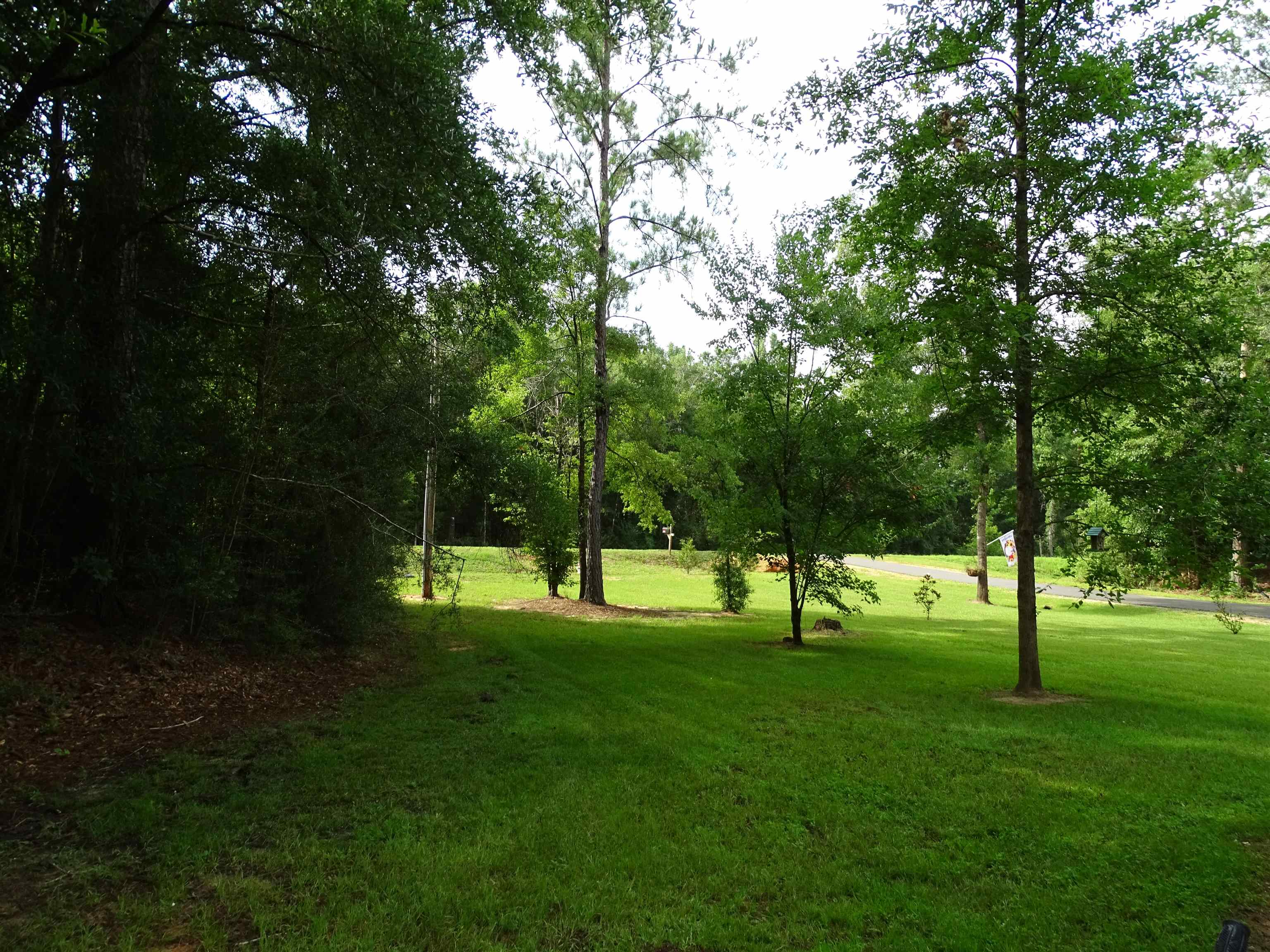 26545 Plywood Mill Road Andalusia, AL 36421 - Photo 22 of 25 Gallery Image 22